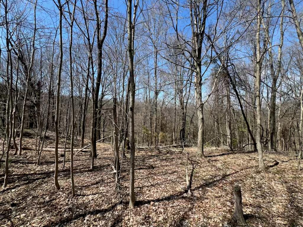 #5 photo, taghkanic, Elizaville , NY 