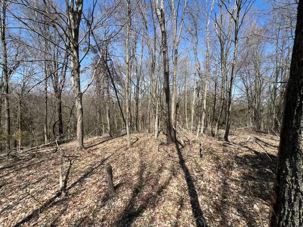 #6 photo, taghkanic, Elizaville , NY 