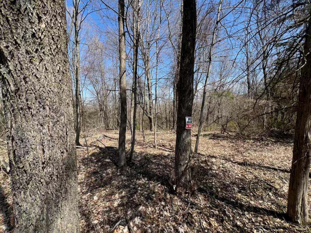 #7 photo, taghkanic, Elizaville , NY 