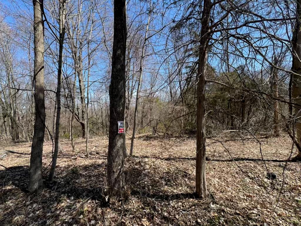 #8 photo, taghkanic, Elizaville , NY 