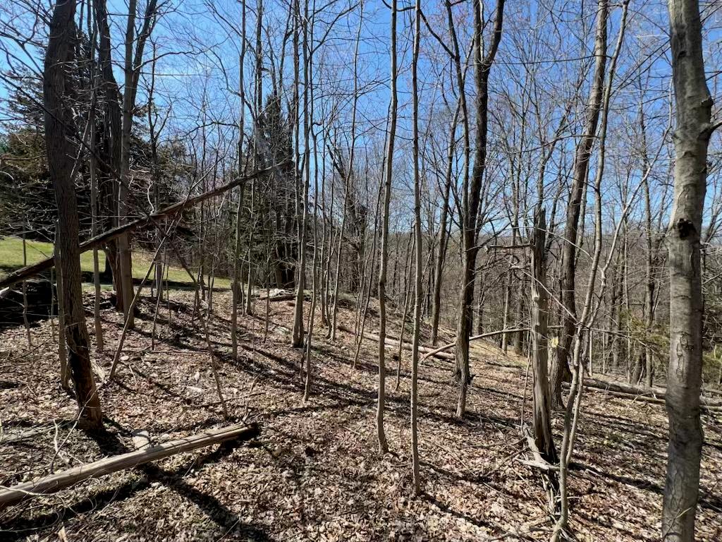 #9 photo, taghkanic, Elizaville , NY 