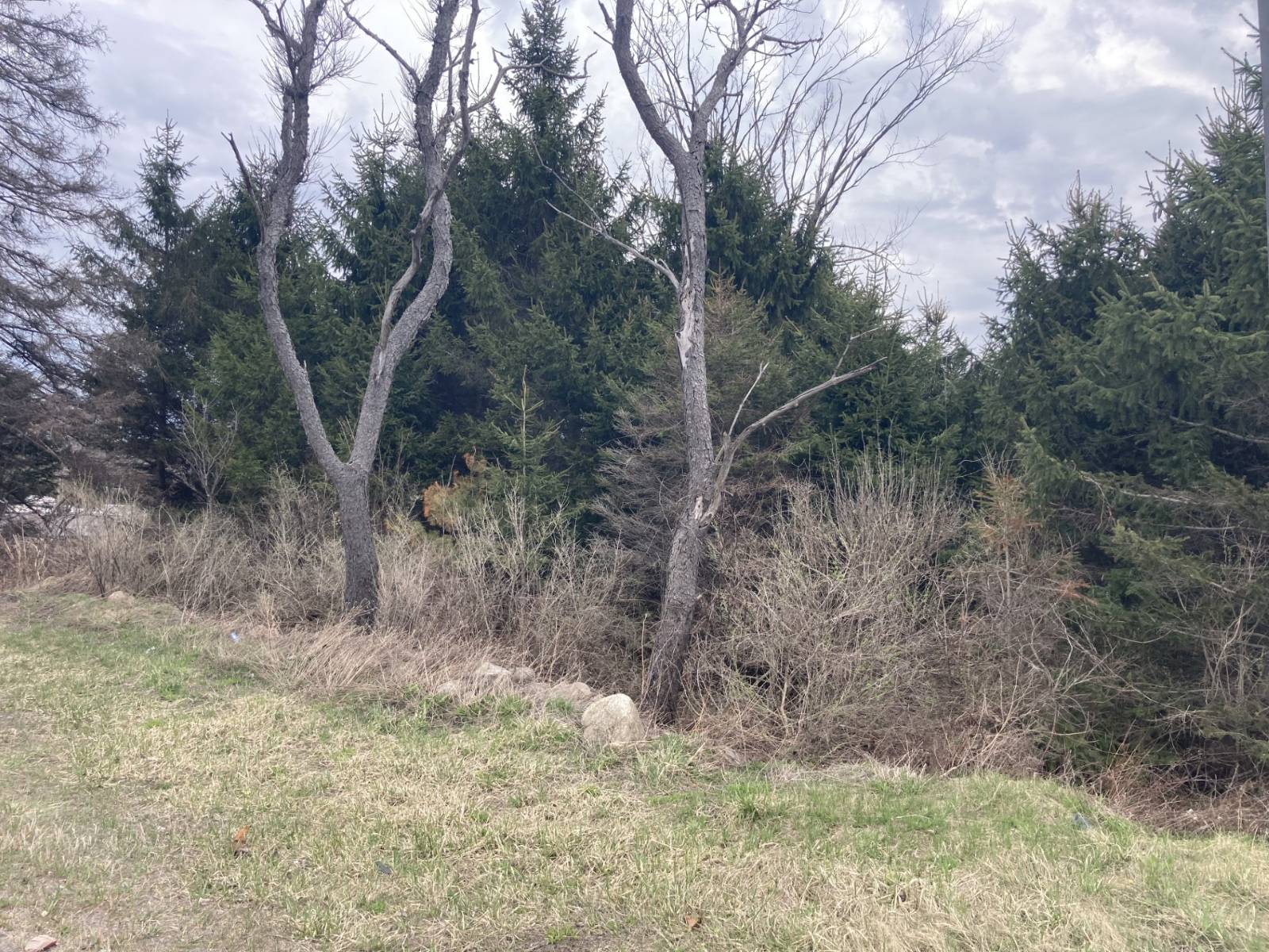 #3 photo, 11333 St Rt 12, Boonville , NY 13309