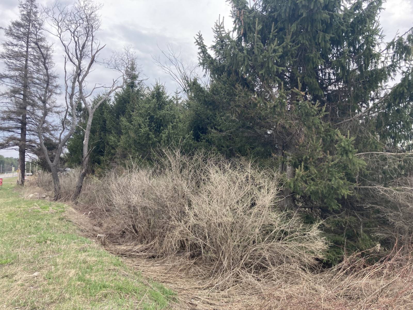 #5 photo, 11333 St Rt 12, Boonville , NY 13309