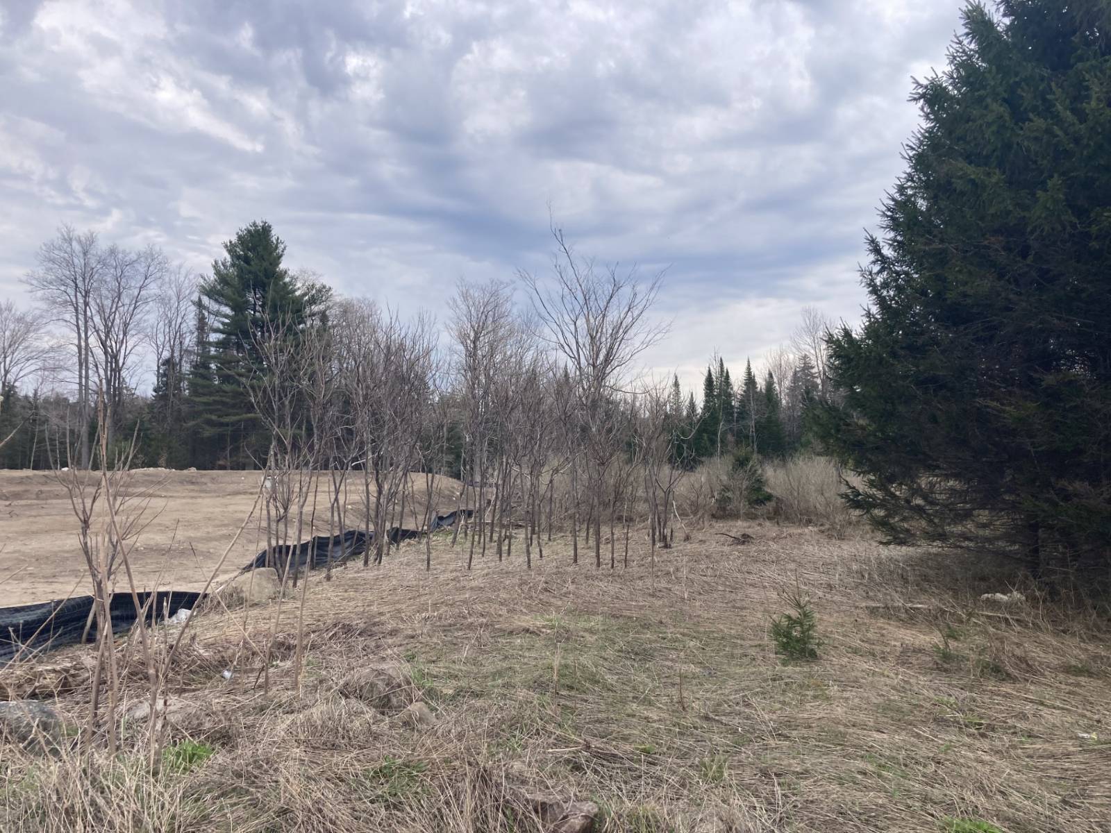 #6 photo, 11333 St Rt 12, Boonville , NY 13309