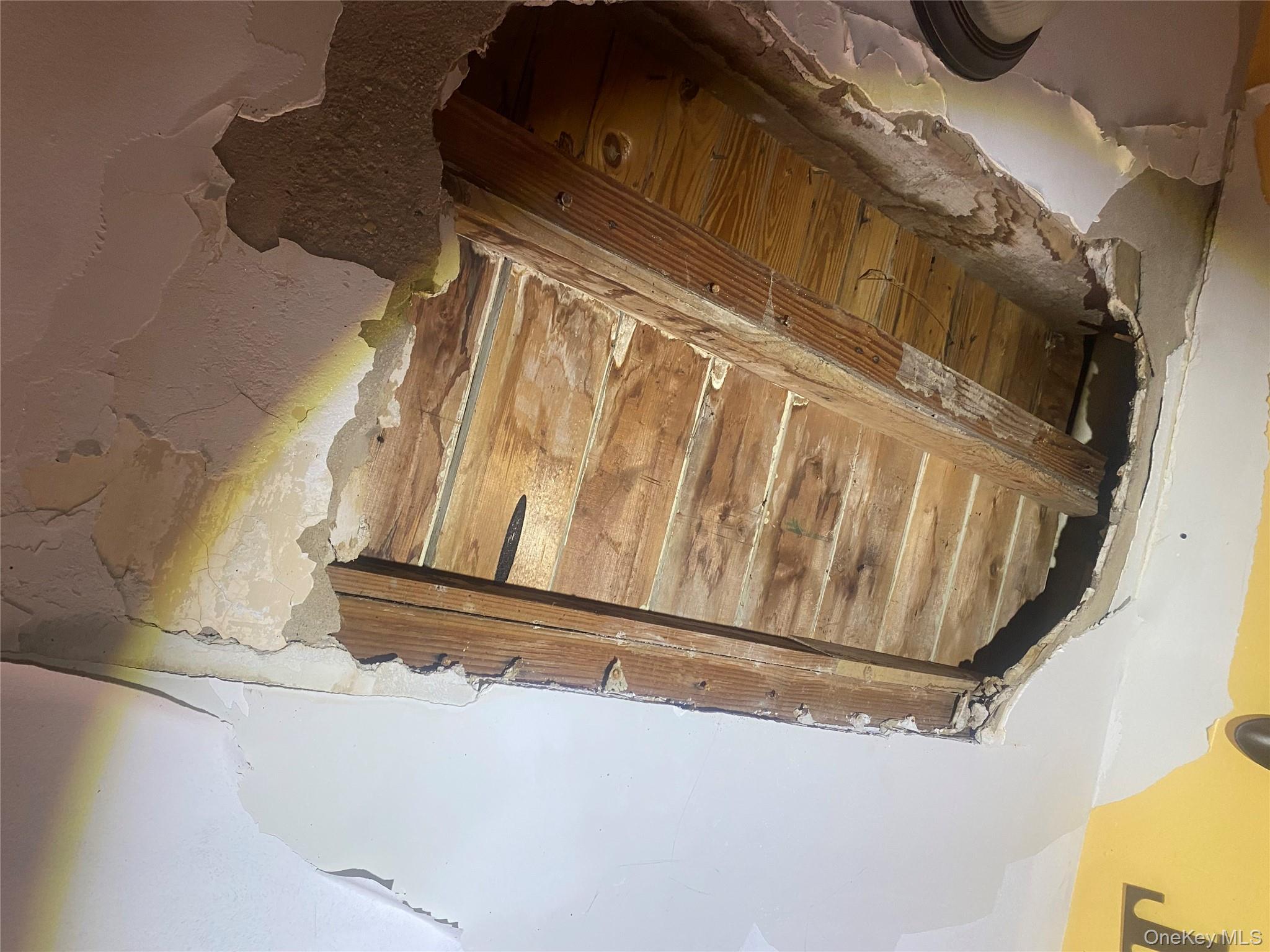 #13 photo, 2713 Eastchester Road, ブロンクス区 Bronx , NY 10469