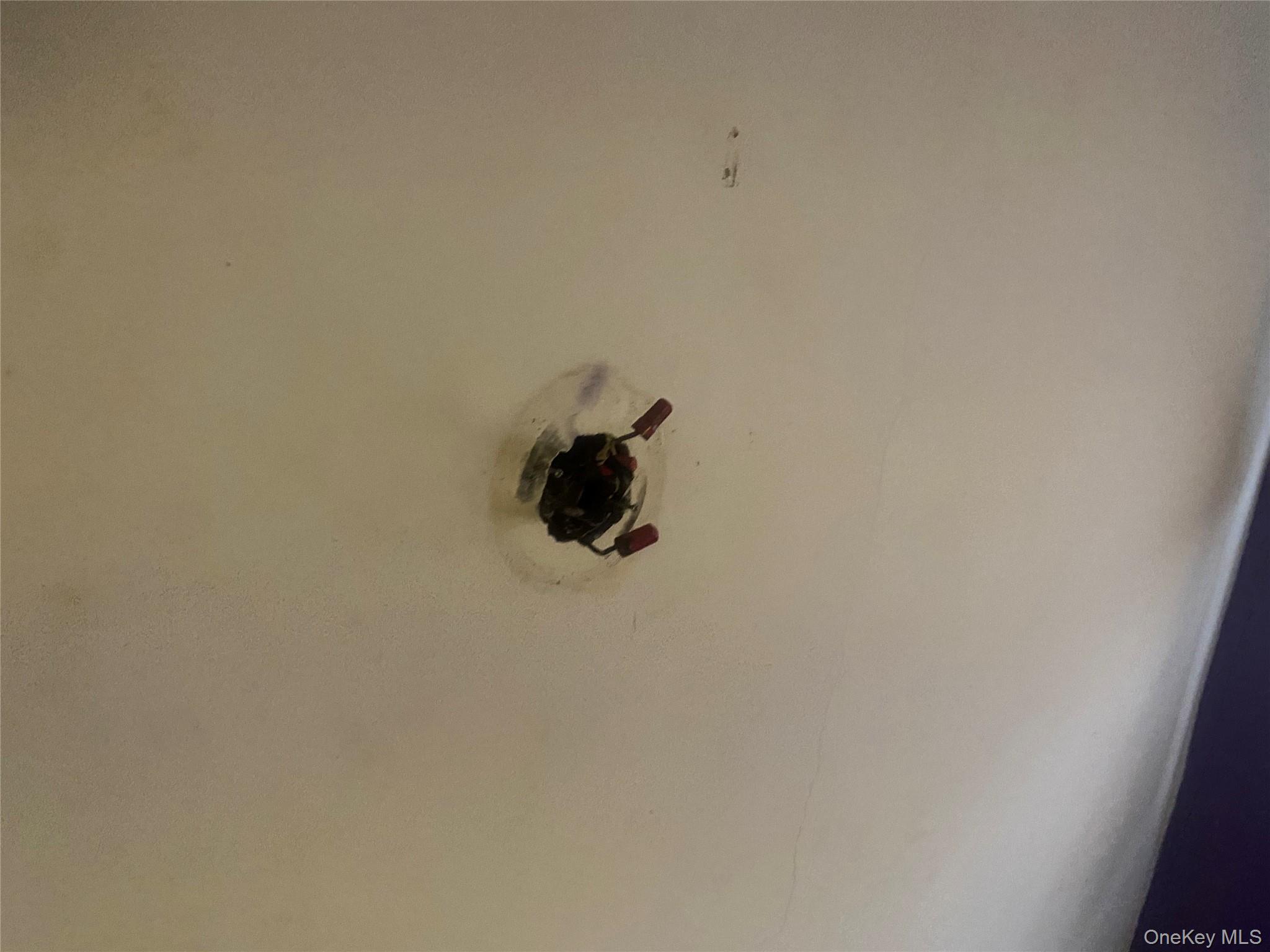 #5 photo, 2713 Eastchester Road, ブロンクス区 Bronx , NY 10469