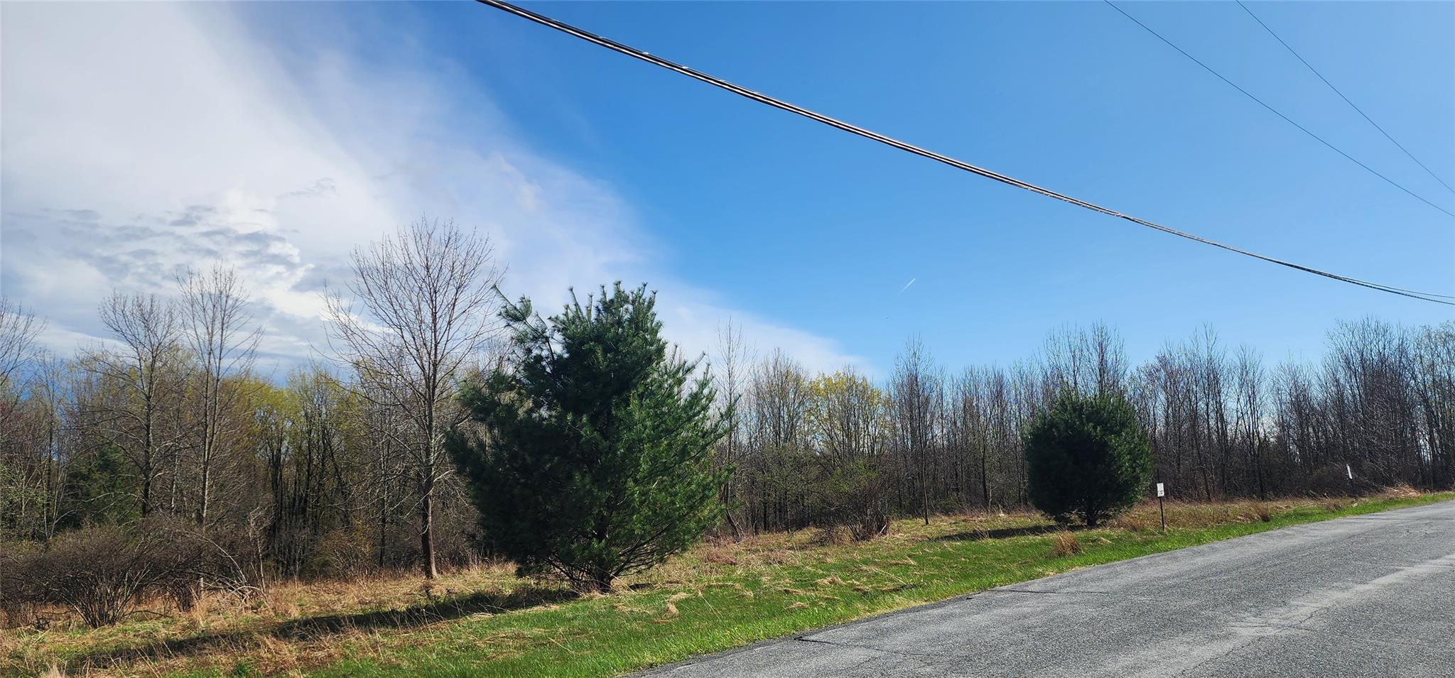 #3 photo, Budd Road, Woodbourne , NY 12788