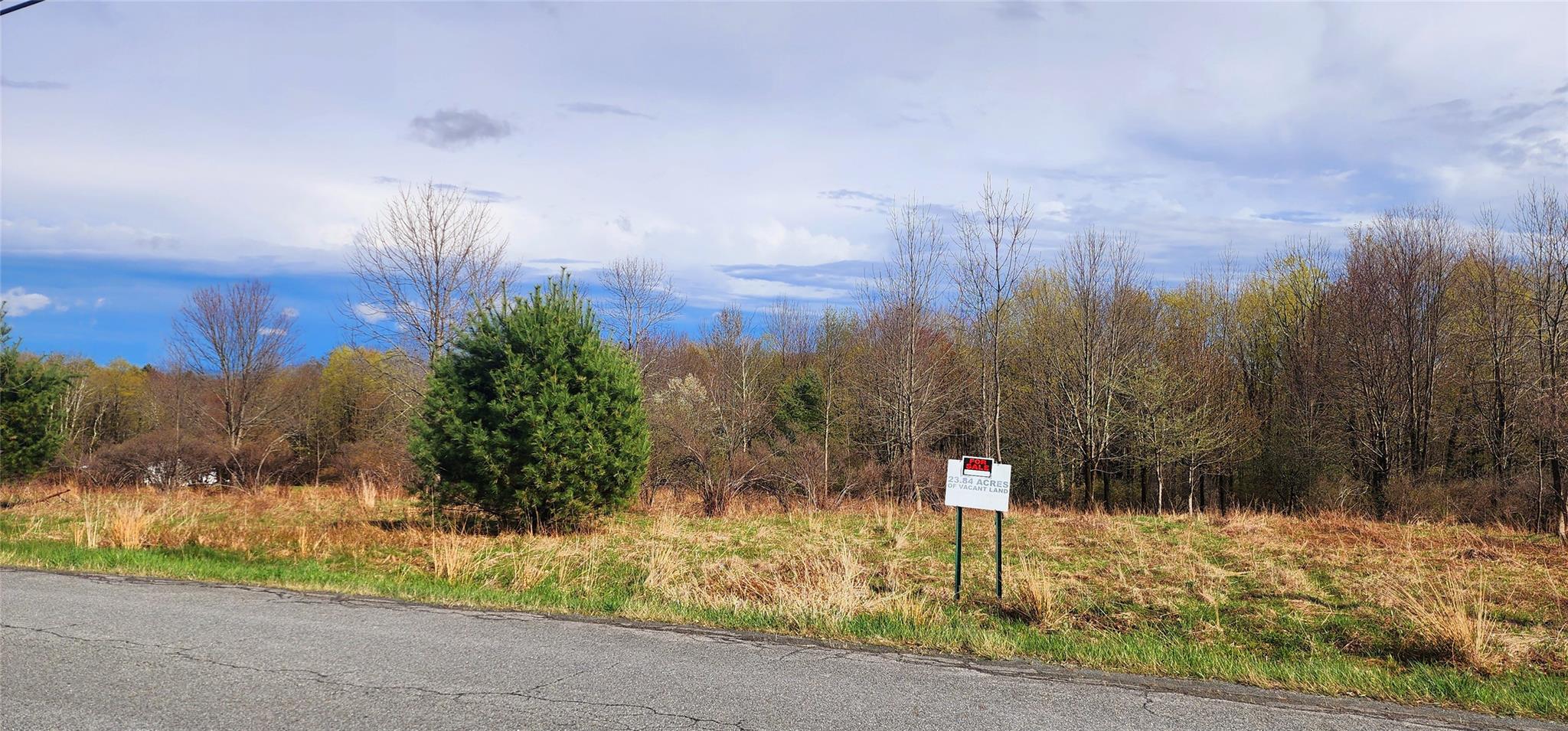 #5 photo, Budd Road, Woodbourne , NY 12788