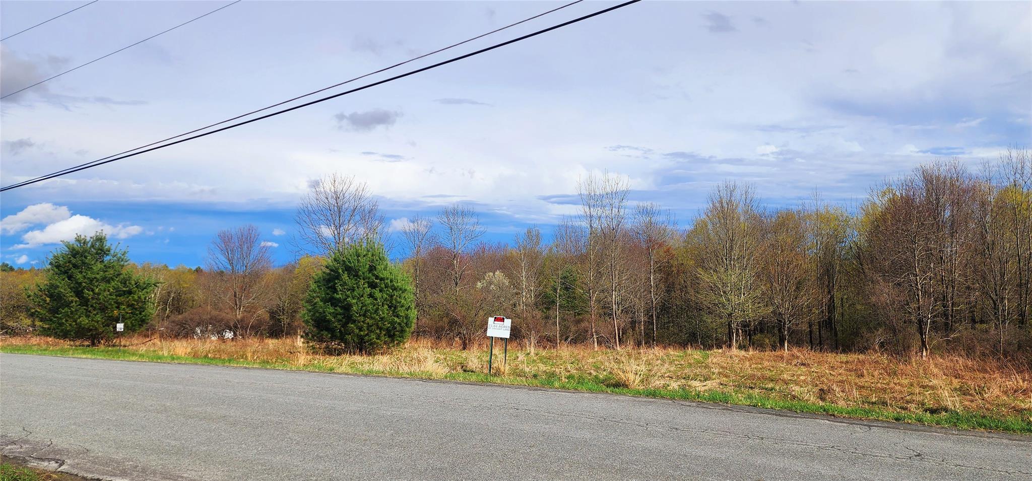 #6 photo, Budd Road, Woodbourne , NY 12788