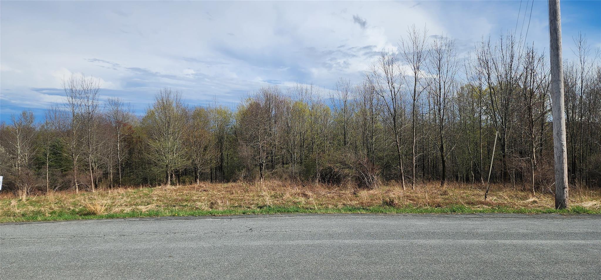 #7 photo, Budd Road, Woodbourne , NY 12788