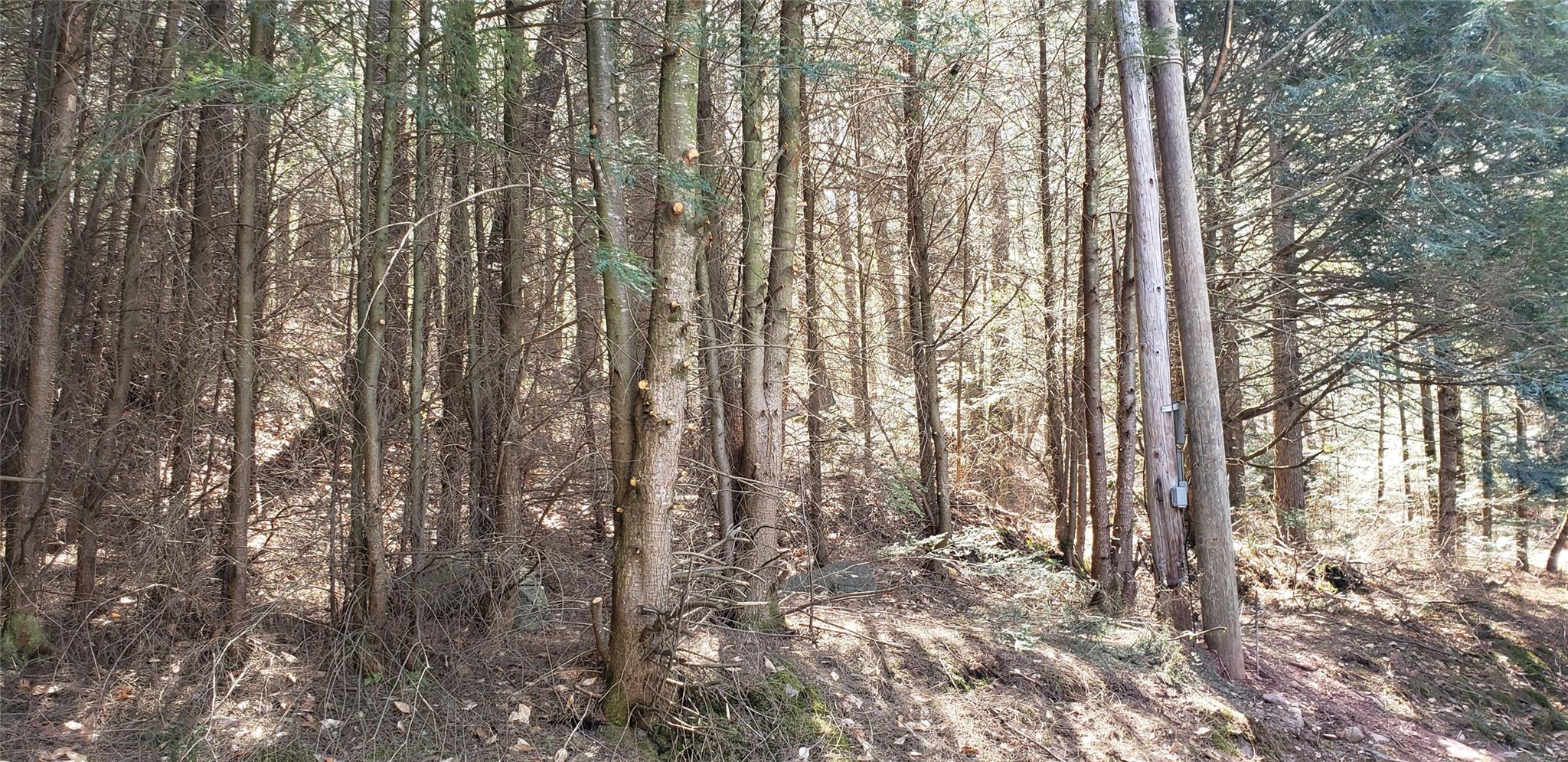 #7 photo, 84 Elliott Road, Glen Wild , NY 12738