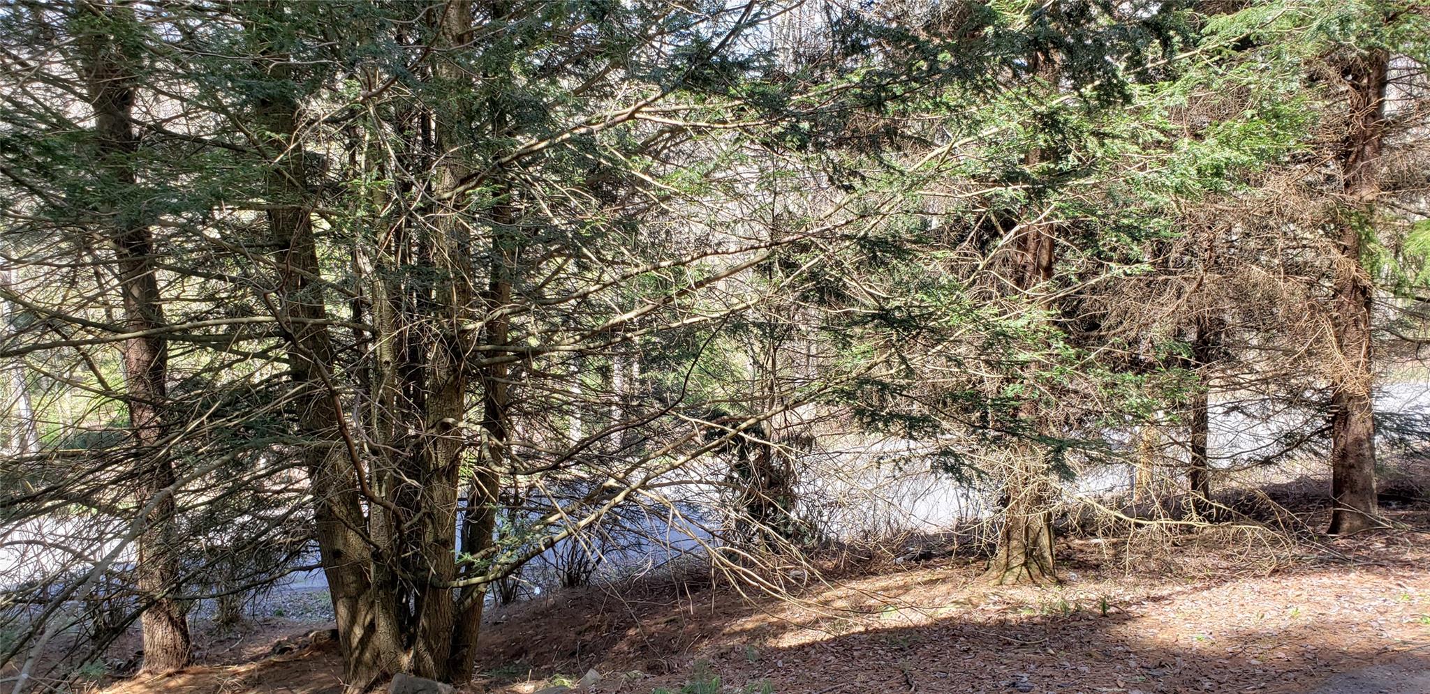 #8 photo, 84 Elliott Road, Glen Wild , NY 12738