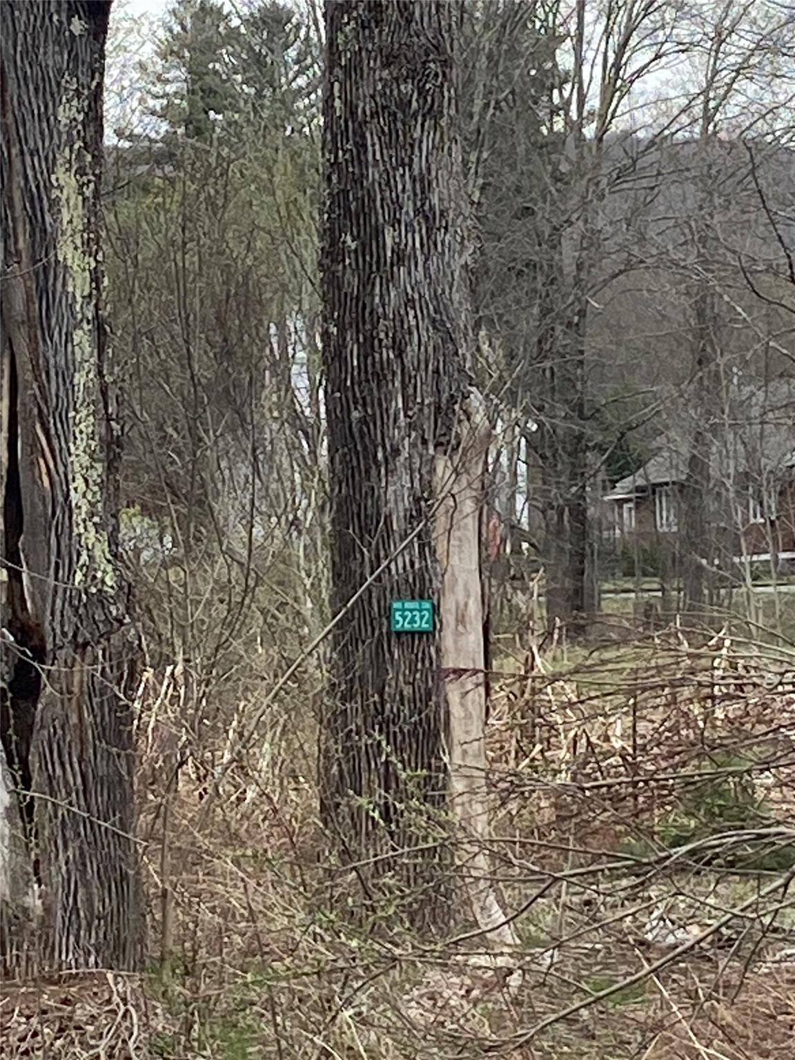 #4 photo, 5232 Route 23A, Haines Falls , NY 12436