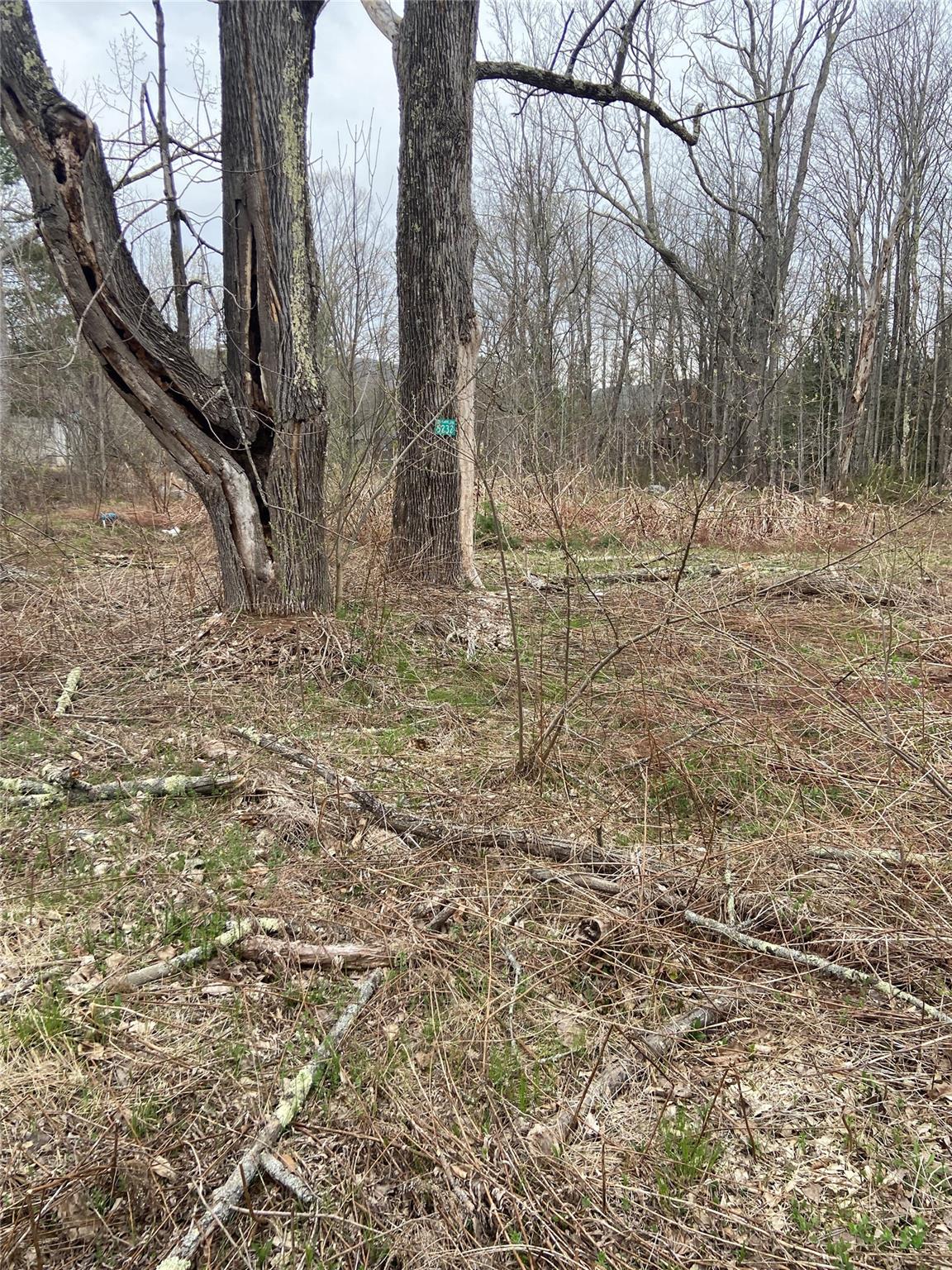 #5 photo, 5232 Route 23A, Haines Falls , NY 12436