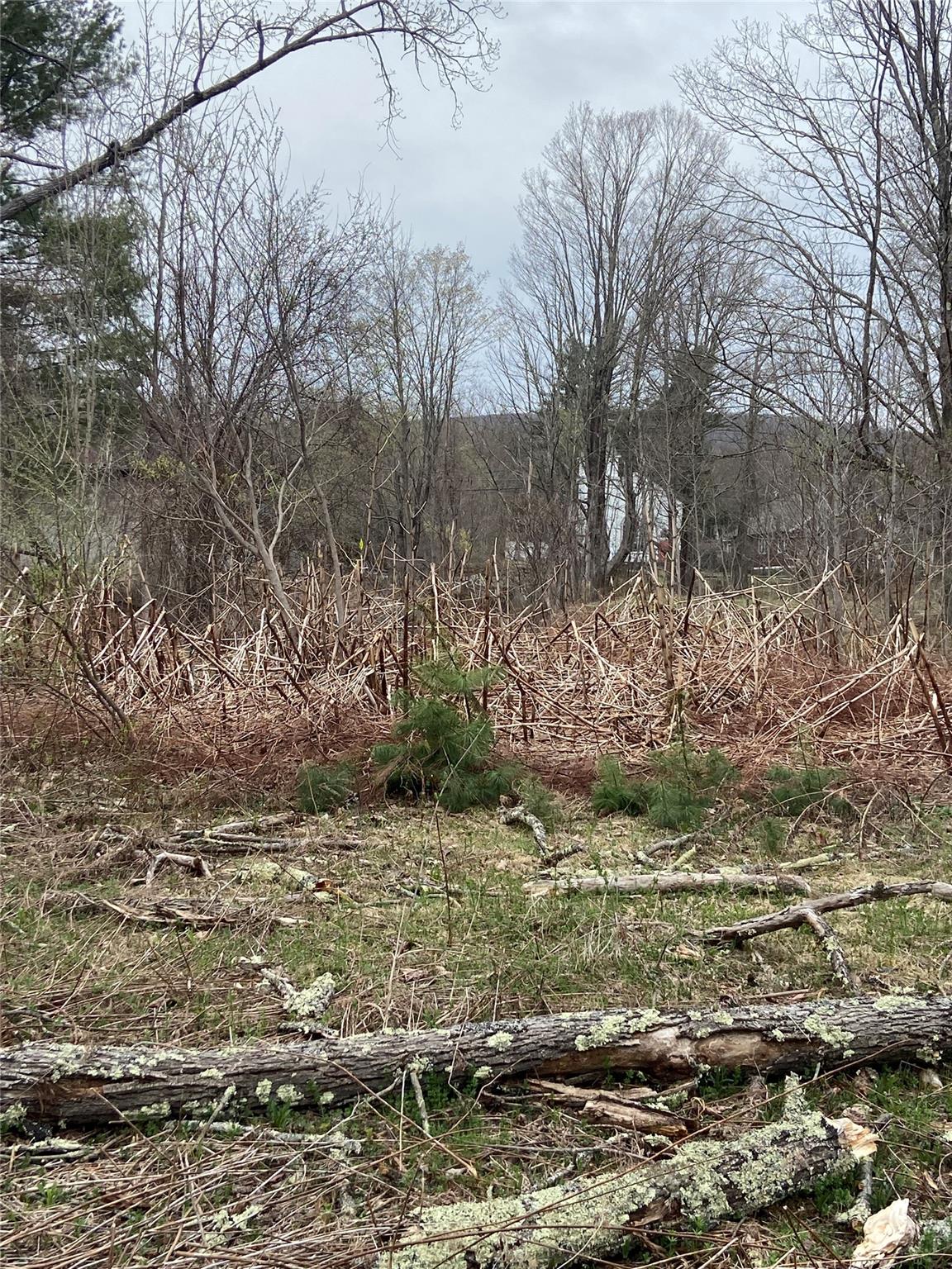 #6 photo, 5232 Route 23A, Haines Falls , NY 12436