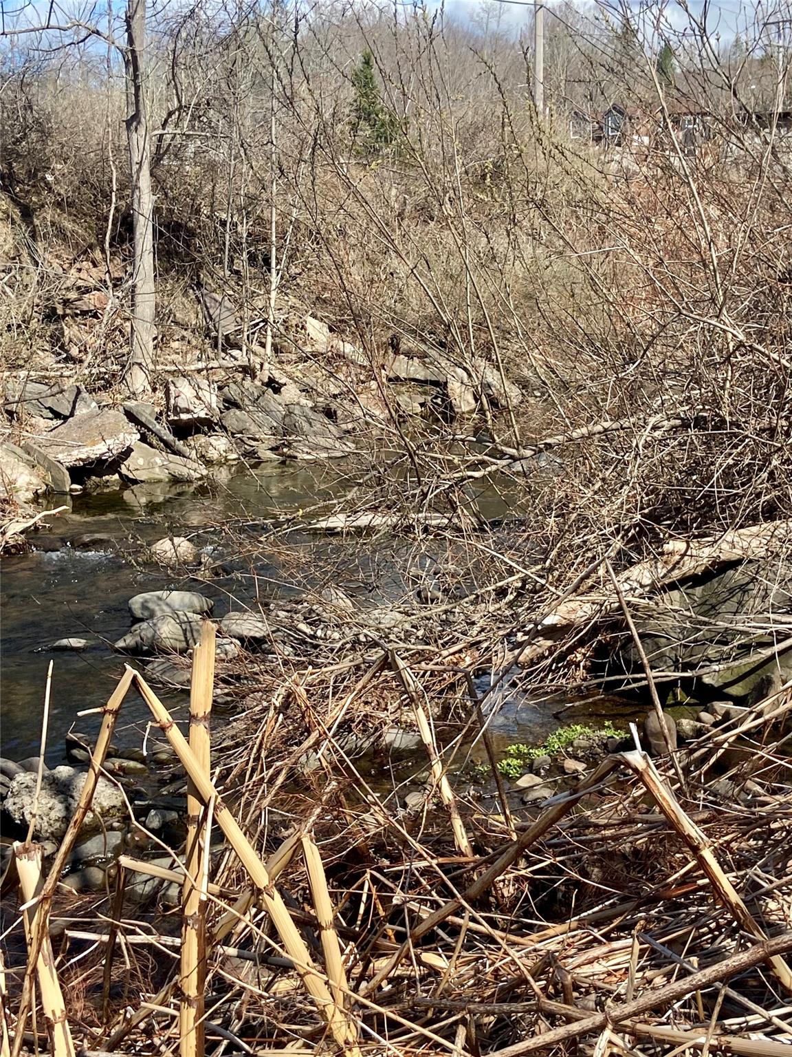 #8 photo, 5232 Route 23A, Haines Falls , NY 12436