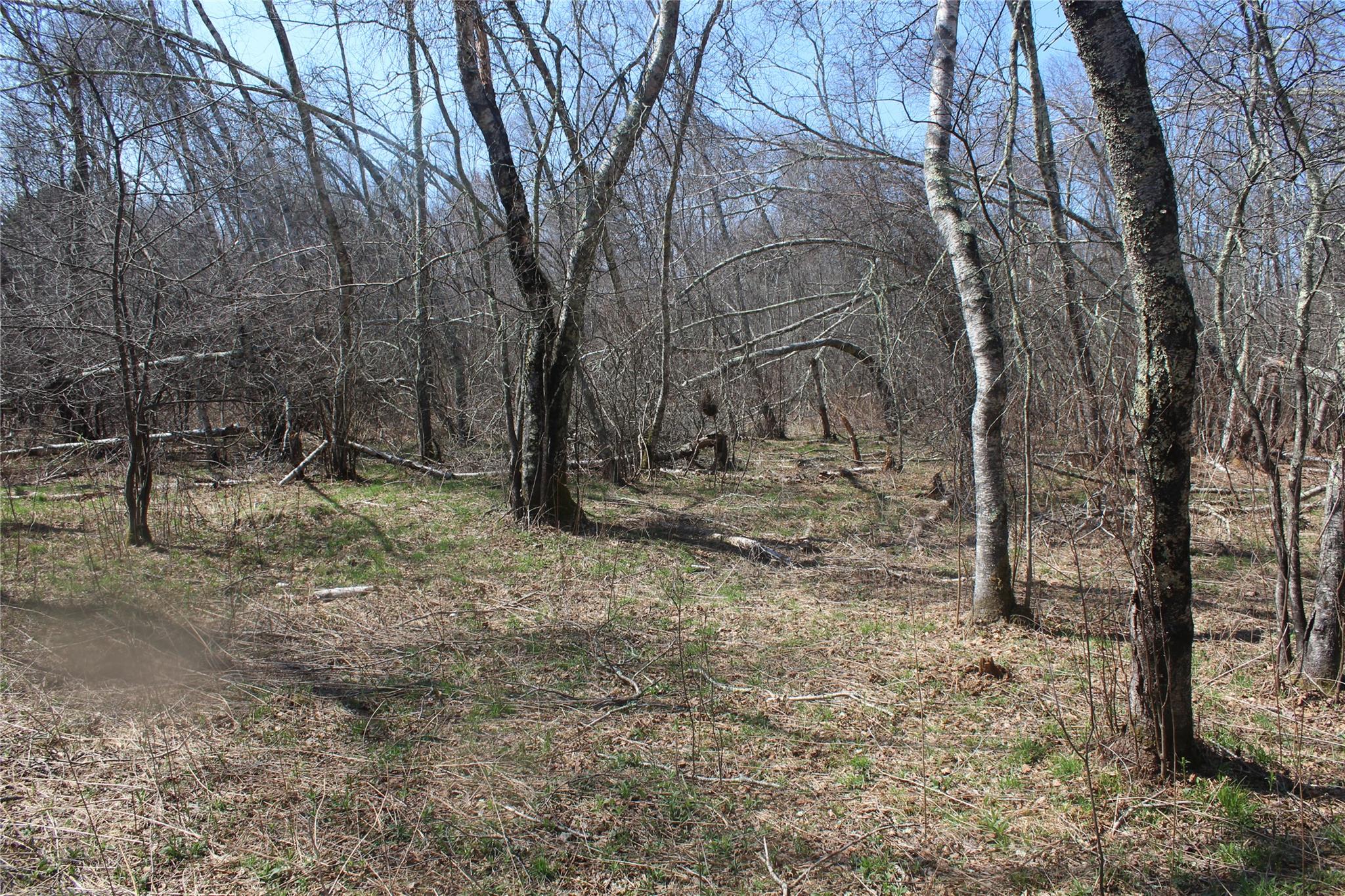 #10 photo, 927-943 Briscoe Road, Swan Lake , NY 12783