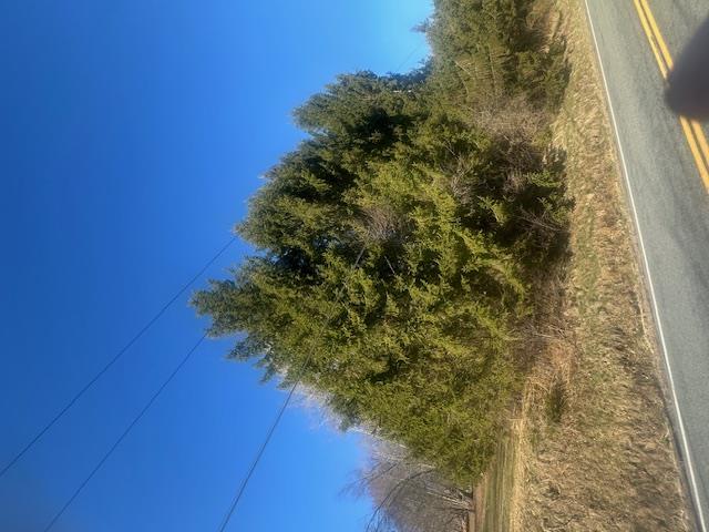 #12 photo, 927-943 Briscoe Road, Swan Lake , NY 12783