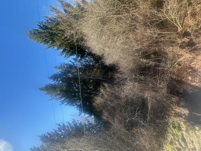 #13 photo, 927-943 Briscoe Road, Swan Lake , NY 12783