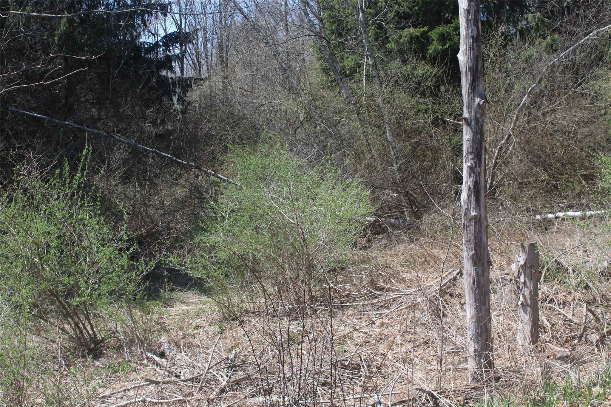 #2 photo, 927-943 Briscoe Road, Swan Lake , NY 12783