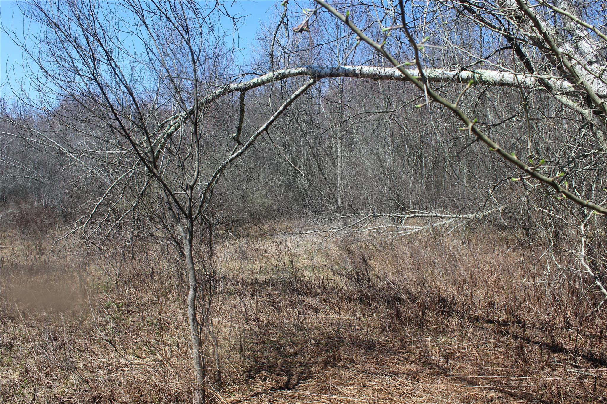 #4 photo, 927-943 Briscoe Road, Swan Lake , NY 12783