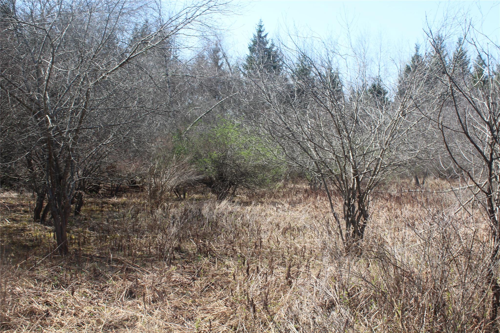 #5 photo, 927-943 Briscoe Road, Swan Lake , NY 12783