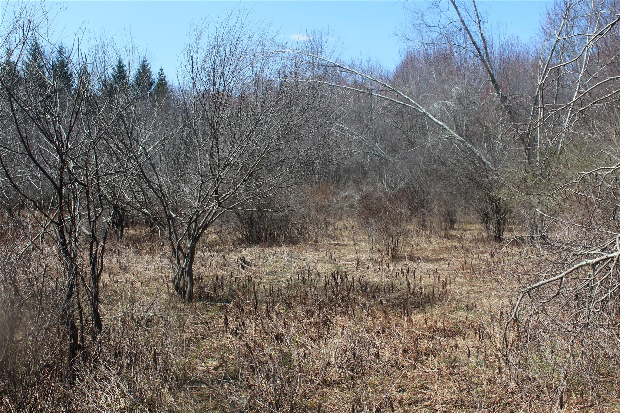 #6 photo, 927-943 Briscoe Road, Swan Lake , NY 12783