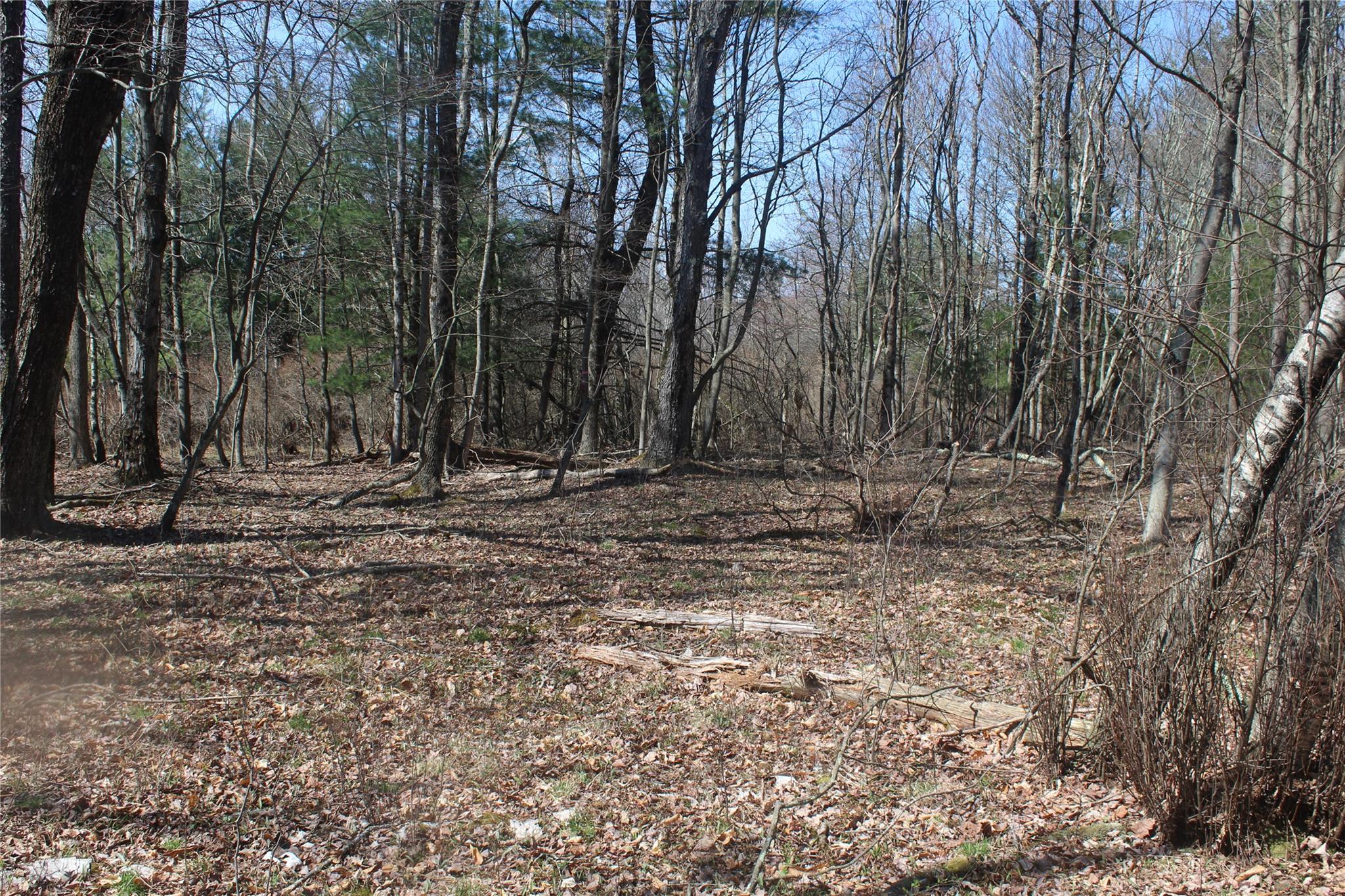 #7 photo, 927-943 Briscoe Road, Swan Lake , NY 12783