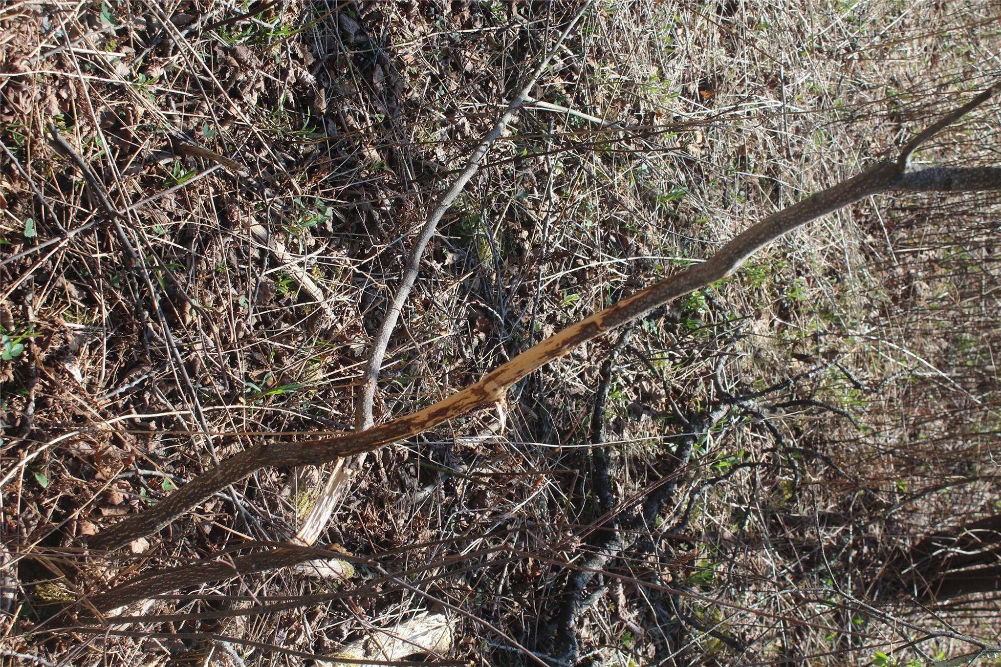 #9 photo, 927-943 Briscoe Road, Swan Lake , NY 12783