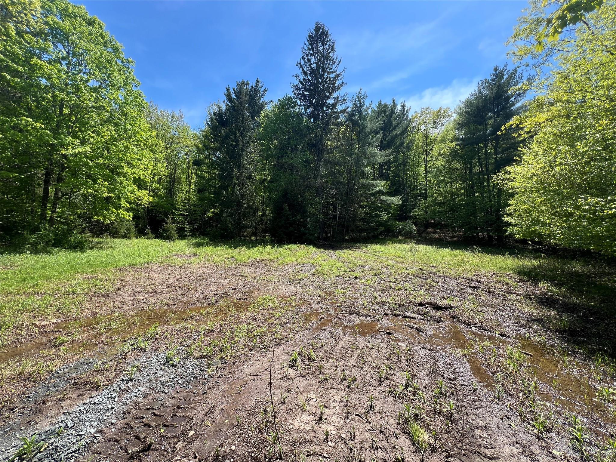 #2 photo, 44 Oak Ridge Road, Greenfield Park , NY 12435