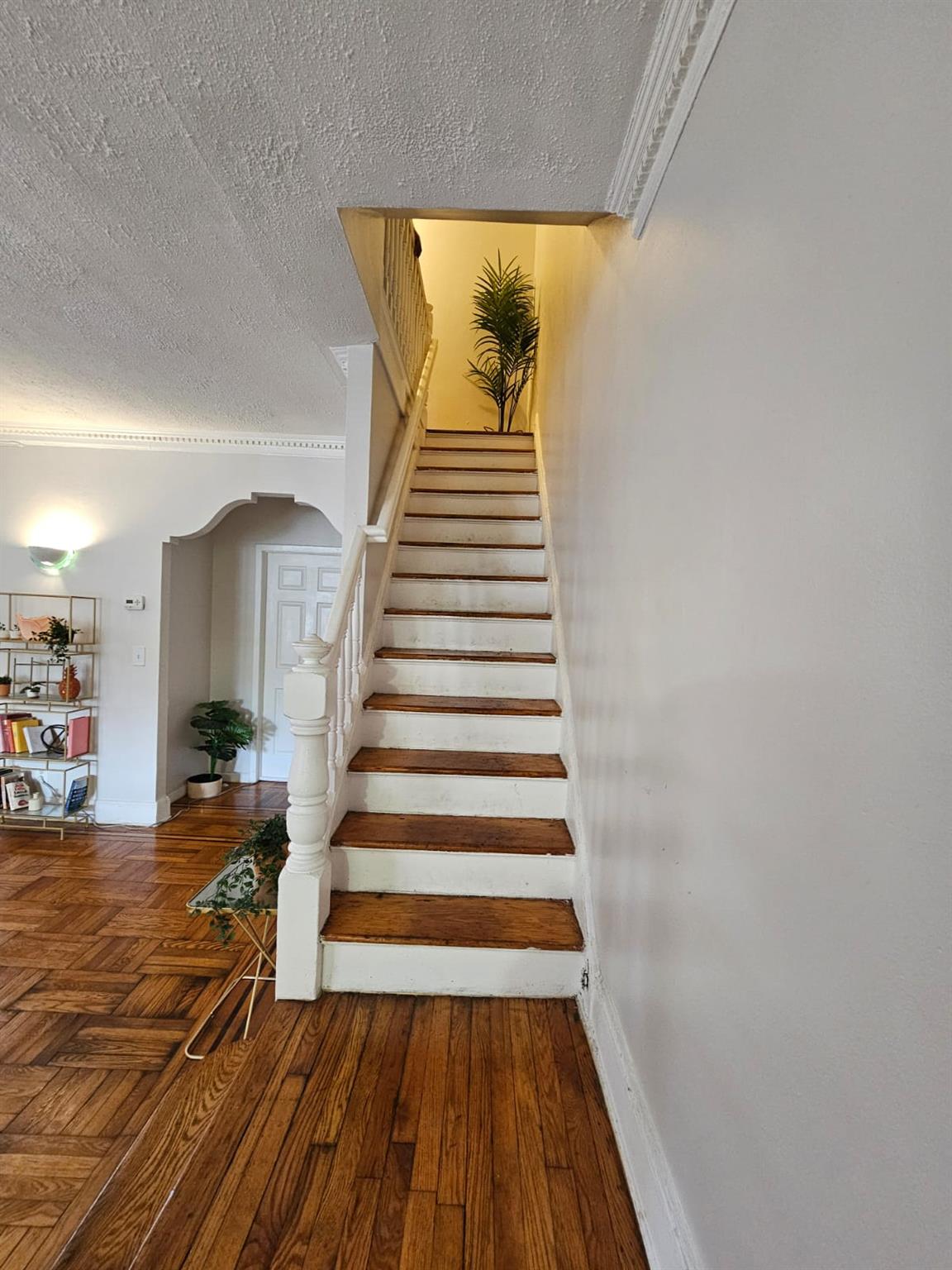 #14 photo, 750 Troy Avenue, 布鲁克林 Brooklyn , NY 11203