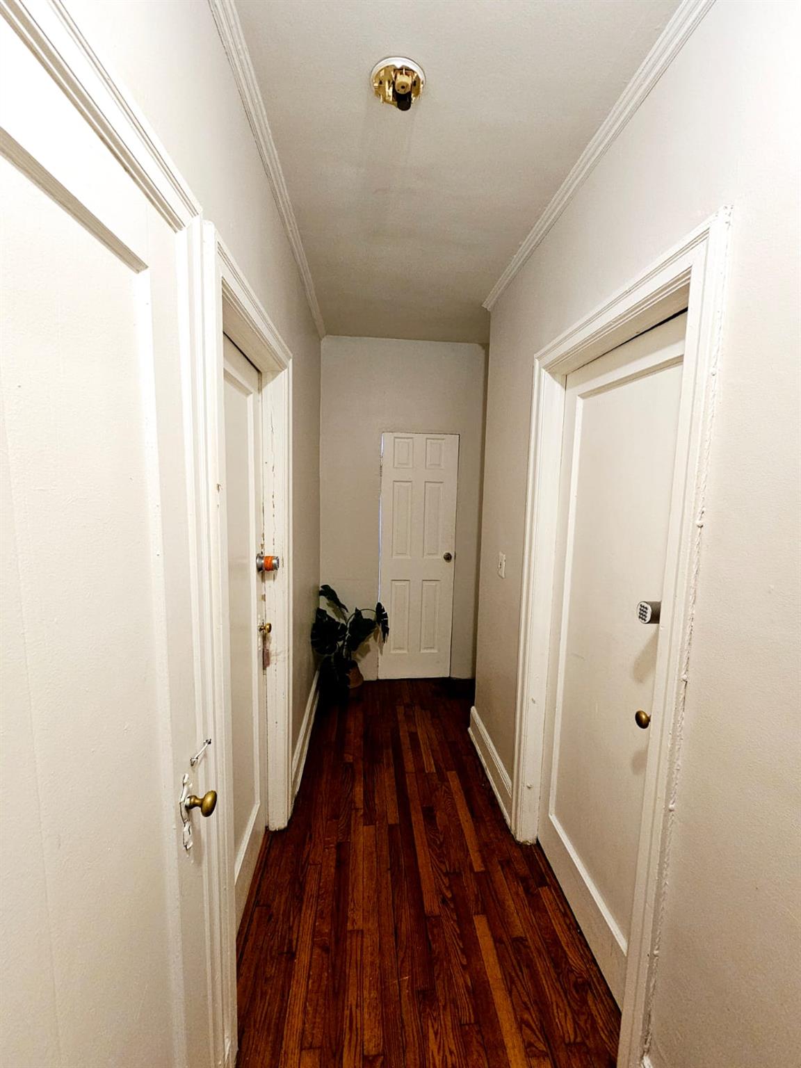 #15 photo, 750 Troy Avenue, 布鲁克林 Brooklyn , NY 11203