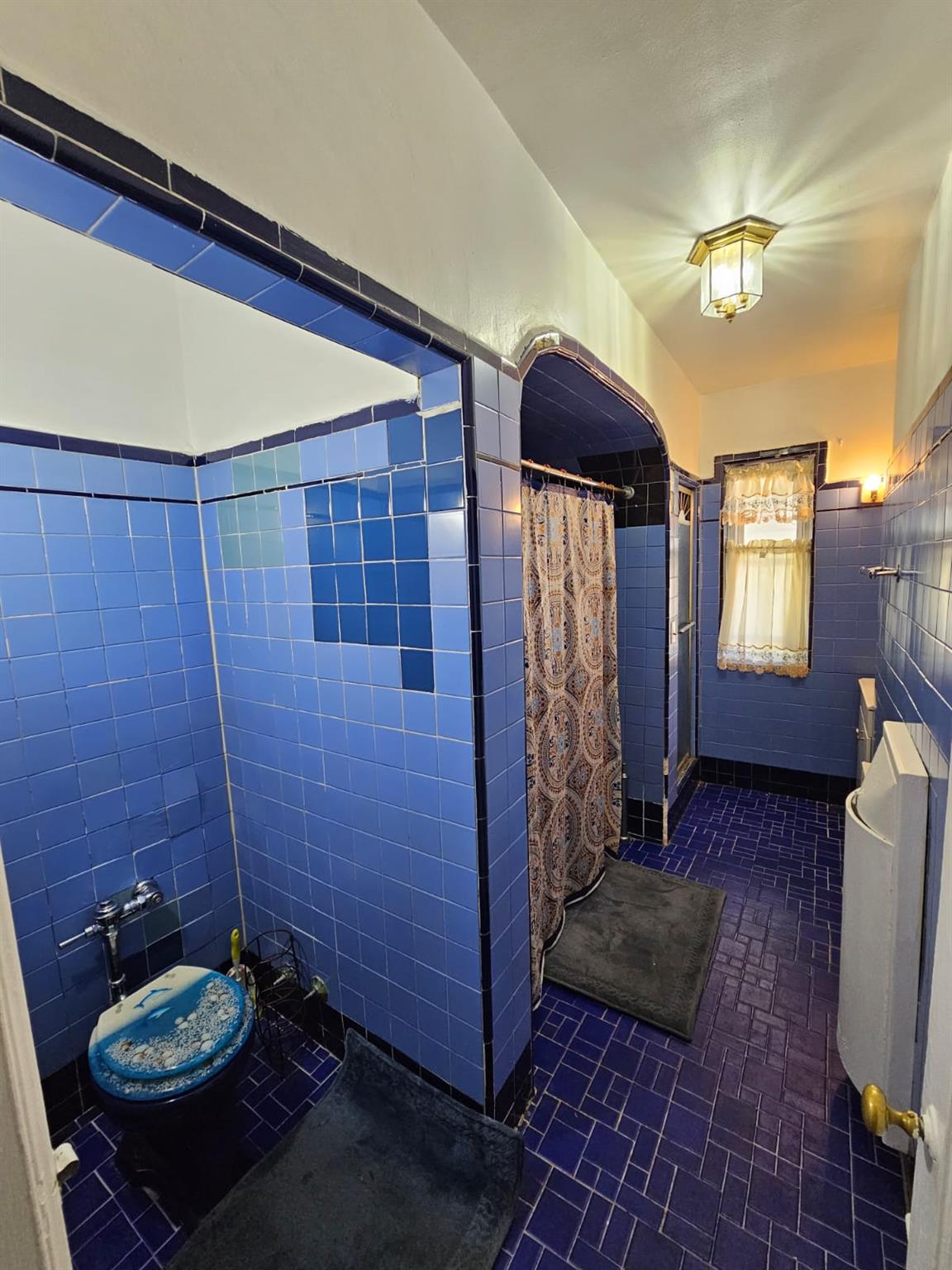 #17 photo, 750 Troy Avenue, 布鲁克林 Brooklyn , NY 11203