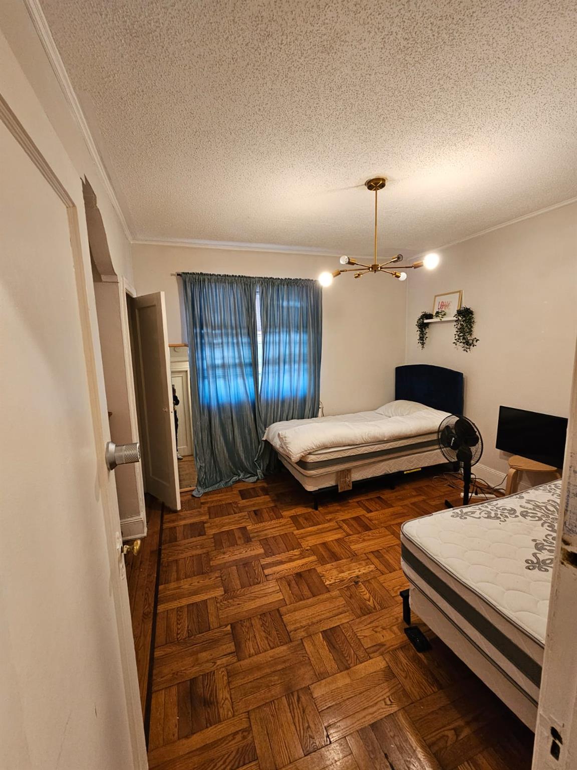 #18 photo, 750 Troy Avenue, 布鲁克林 Brooklyn , NY 11203