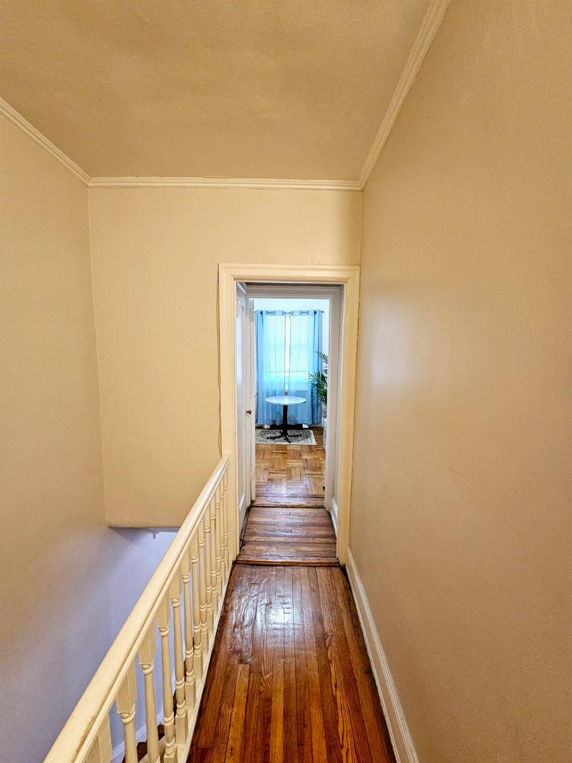 #19 photo, 750 Troy Avenue, 布鲁克林 Brooklyn , NY 11203