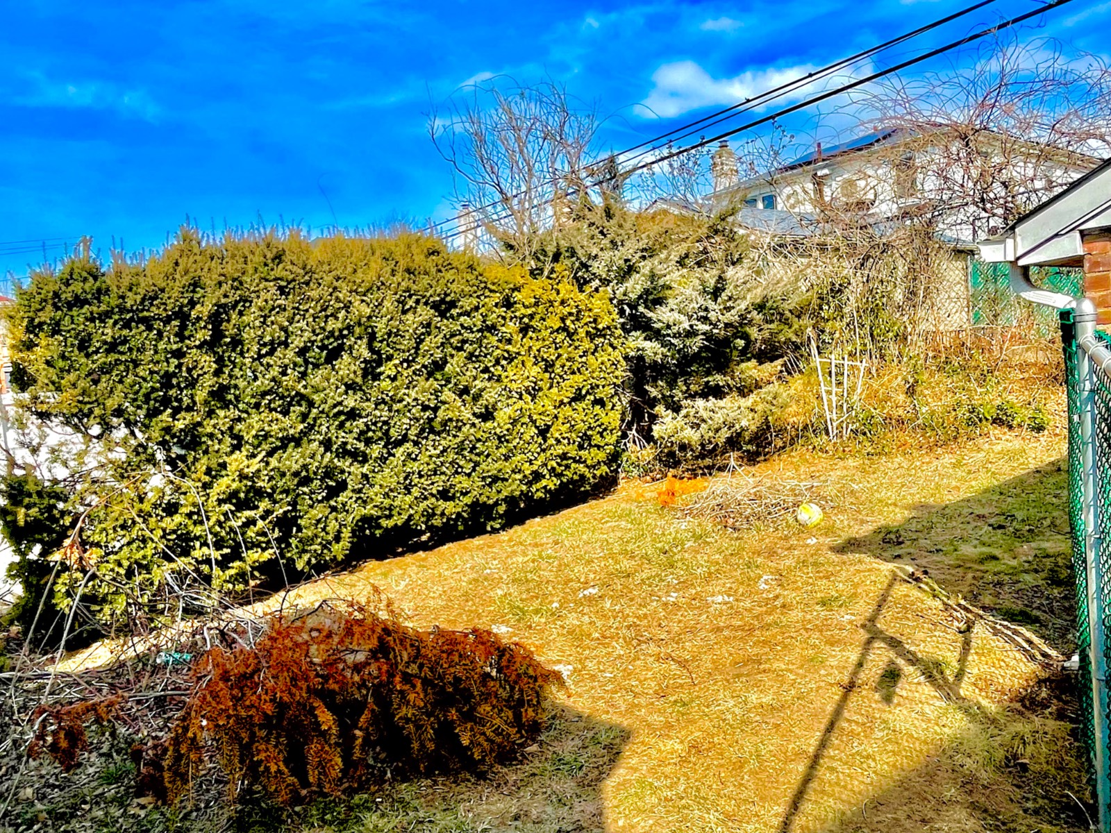 #9 photo, 69-15 Cloverdale Blvd, クイーンズ区 Oakland Gardens , NY 11364