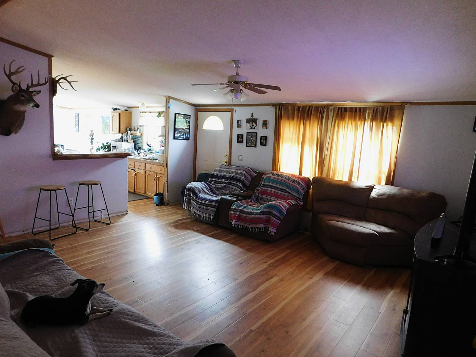 #10 photo, 247 Truesdell Rd, Prattsville , NY 12468