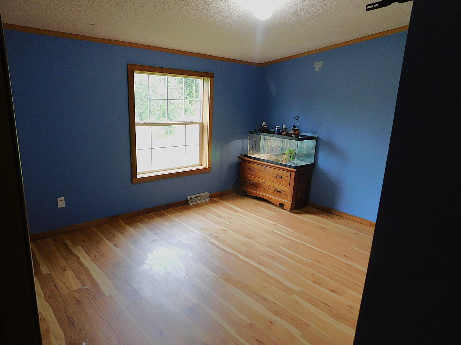 #14 photo, 247 Truesdell Rd, Prattsville , NY 12468