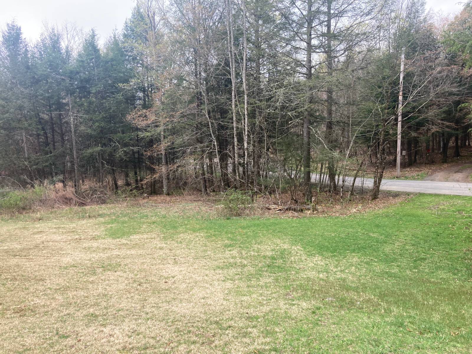#10 photo, 1473 Crystal Meadows Rd, Downsville , NY 13782