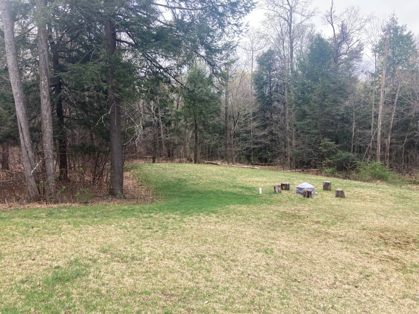 #11 photo, 1473 Crystal Meadows Rd, Downsville , NY 13782