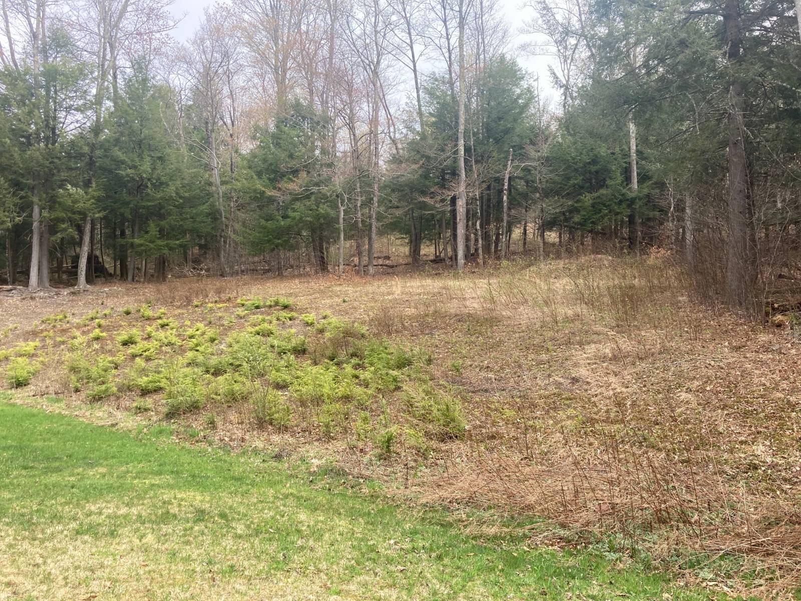 #12 photo, 1473 Crystal Meadows Rd, Downsville , NY 13782