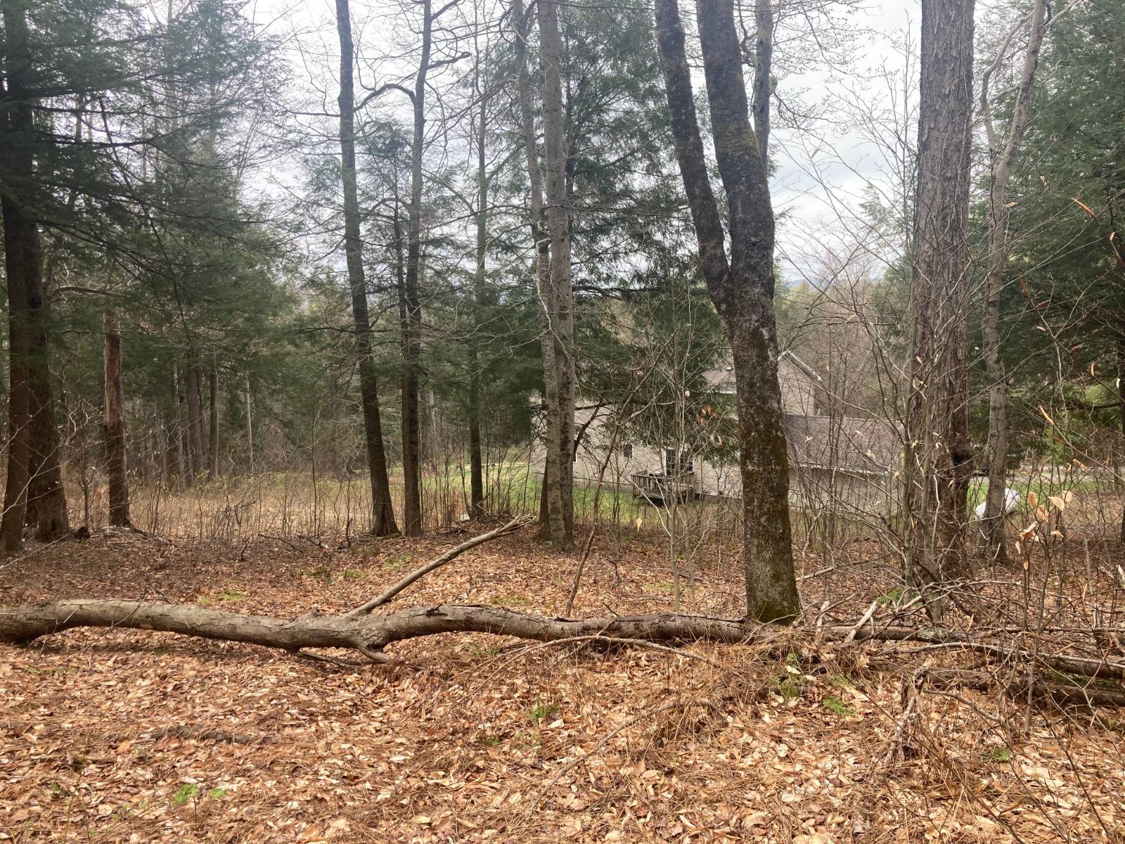 #15 photo, 1473 Crystal Meadows Rd, Downsville , NY 13782