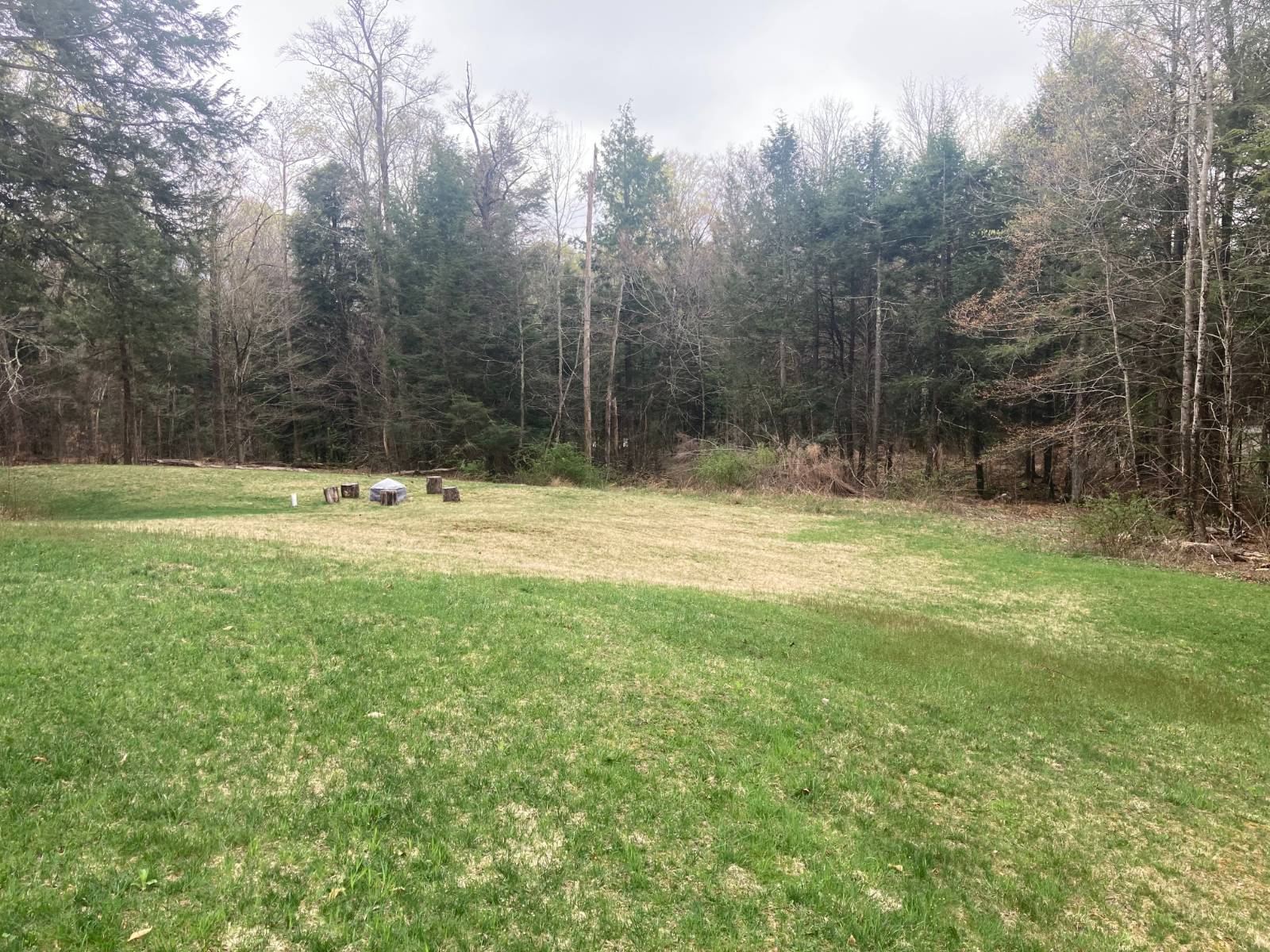 #9 photo, 1473 Crystal Meadows Rd, Downsville , NY 13782