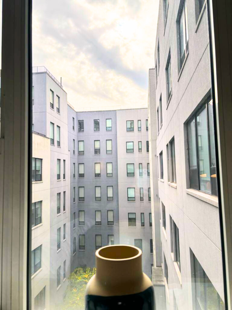 #19 photo, 416 W 52ND Street, マンハッタン Hells Kitchen , NY 10019