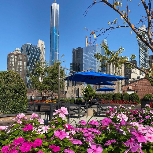 #20 photo, 416 W 52ND Street, マンハッタン Hells Kitchen , NY 10019