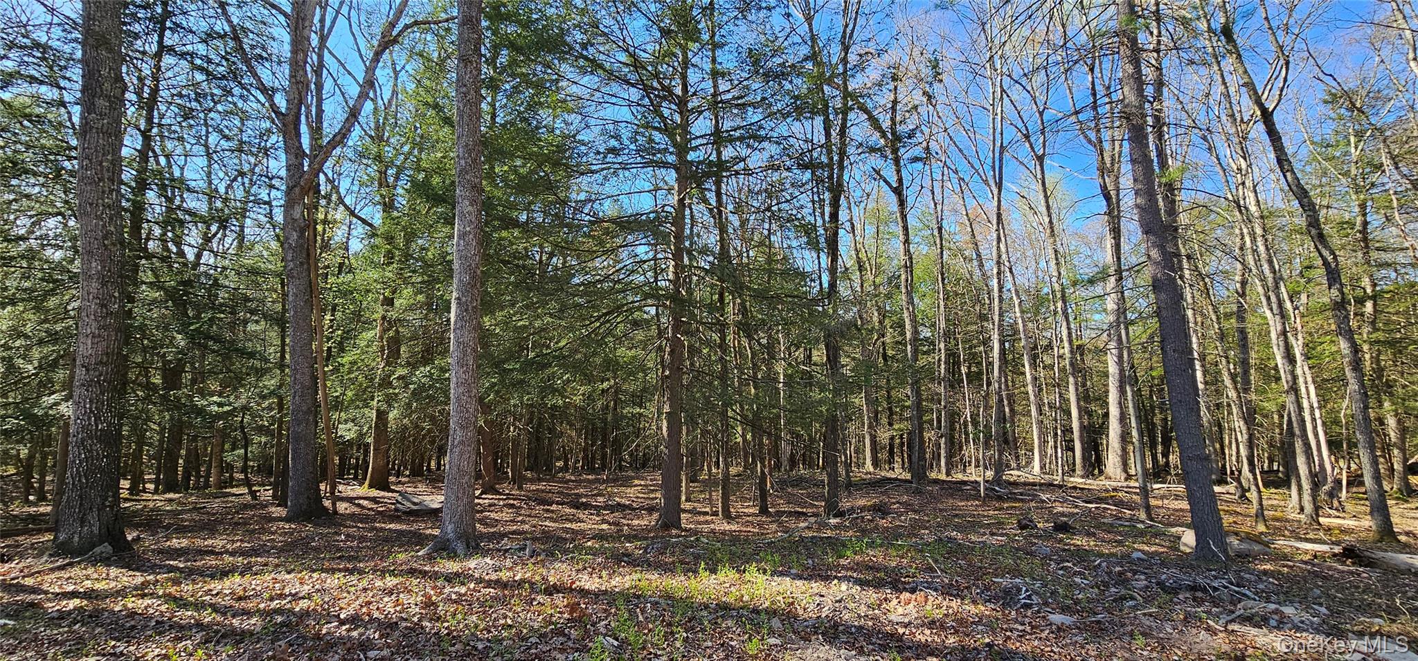 #10 photo, Lot 85 Perry Pond Road, Narrowsburg , NY 12764