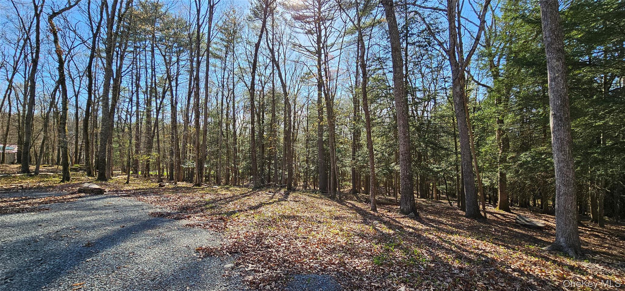 #11 photo, Lot 85 Perry Pond Road, Narrowsburg , NY 12764