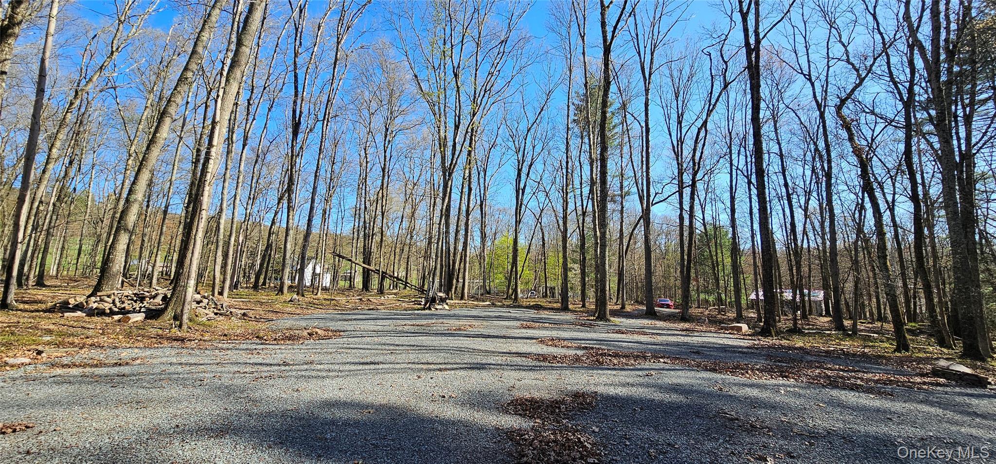 #12 photo, Lot 85 Perry Pond Road, Narrowsburg , NY 12764