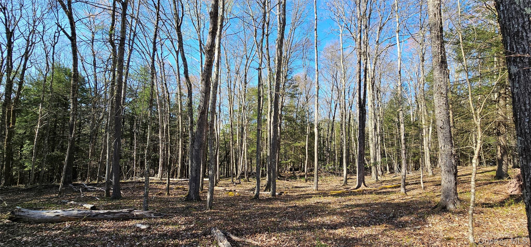 #13 photo, Lot 85 Perry Pond Road, Narrowsburg , NY 12764