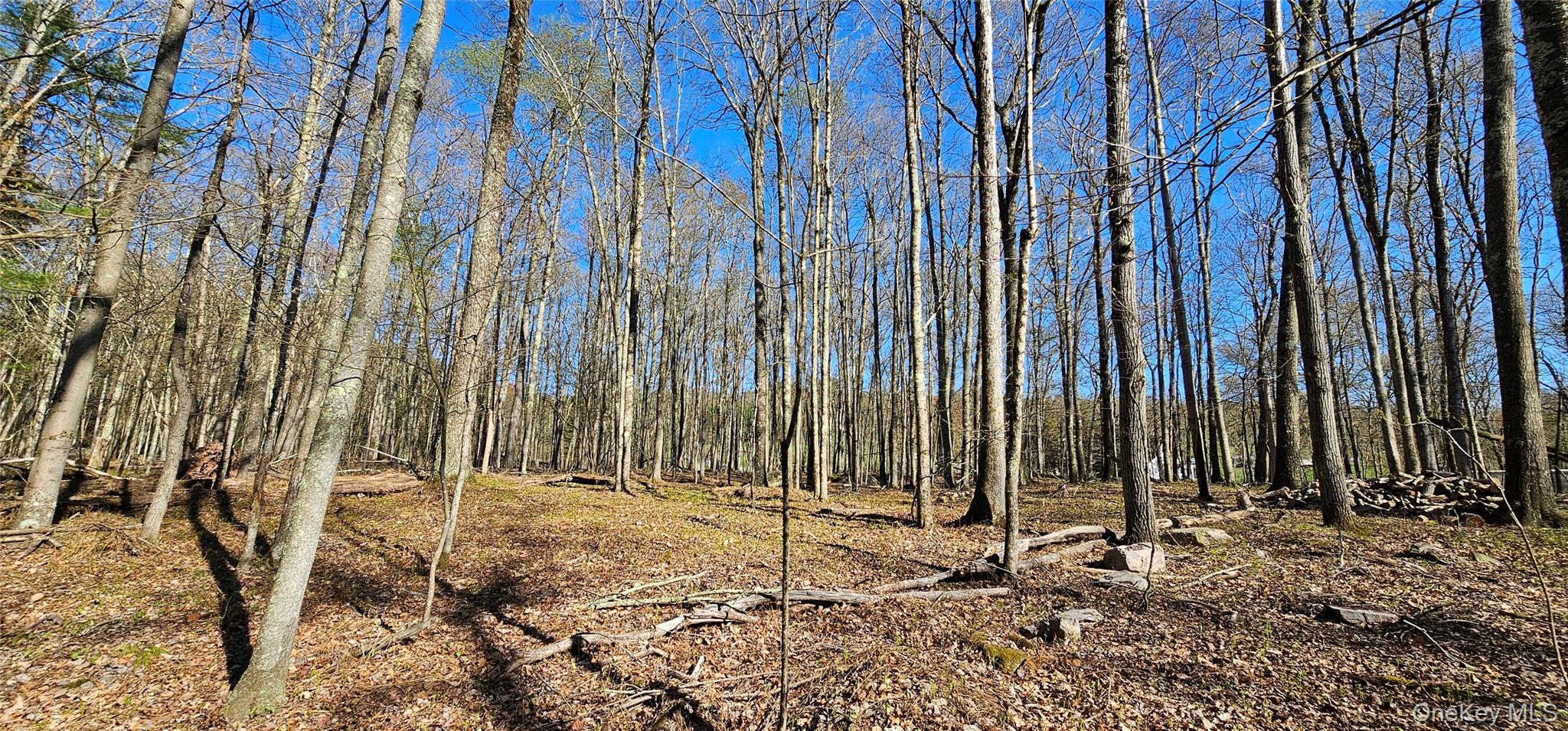 #14 photo, Lot 85 Perry Pond Road, Narrowsburg , NY 12764